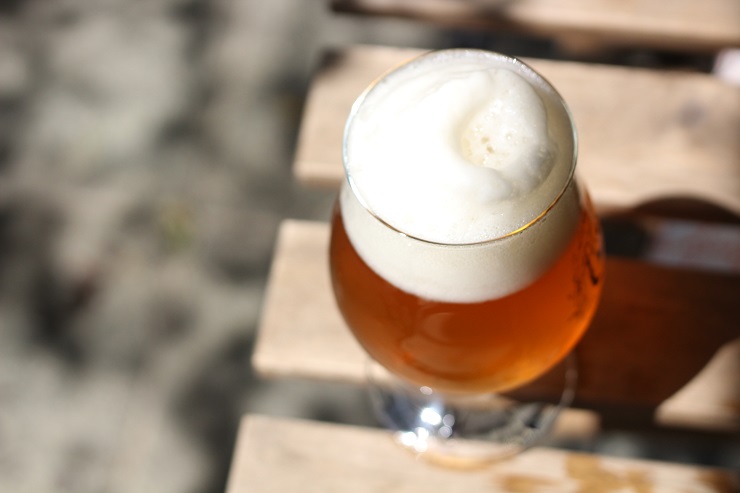 Вторая жизнь пива: что полезного можно сделать из пивной дробины
