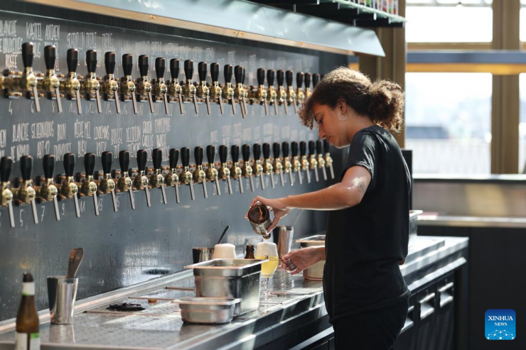 Музей Belgian Beer World в Брюсселе раскритиковали за преференции пиву крупных производителей