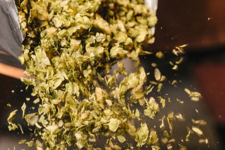 Чувашия просит у Минпромторга поддержки в НИОКР для комплекса переработки хмеля