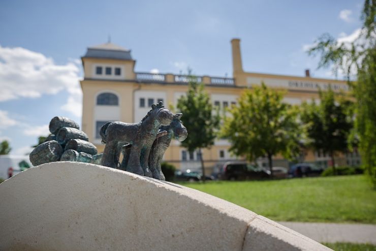 Asahi инвестирует в венгерское подразделение рекордную сумму