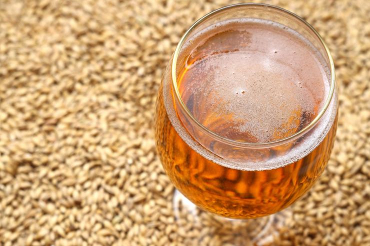 AB InBev планирует начать производство углеродно нейтрального солода в Китае в конце 2024 года