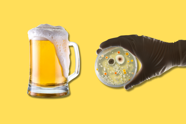 Разливное безалкогольное пиво — насколько оно безопасно?