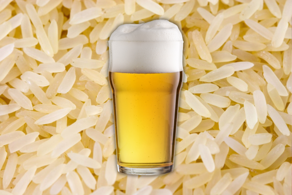 Почему крафтовые пивовары полюбили рис?