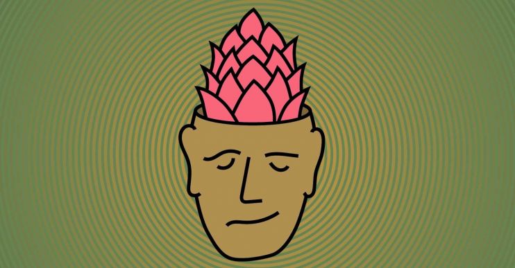 Вкусовая лихорадка: как развить свое хмелевое чутье?