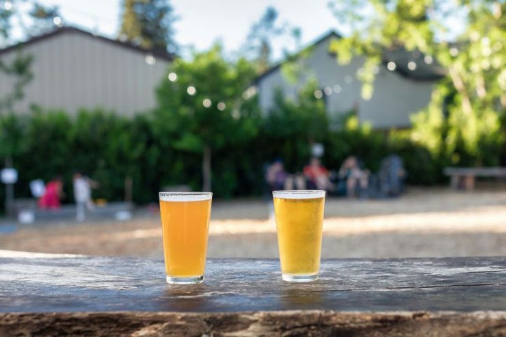 Великобритания стала лидером по росту продаж слабоалкогольного пива благодаря снижению пошлин на алкоголь