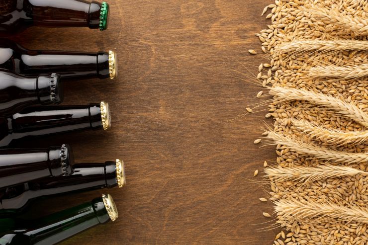 Вступили новые правила маркировки для импортеров пива