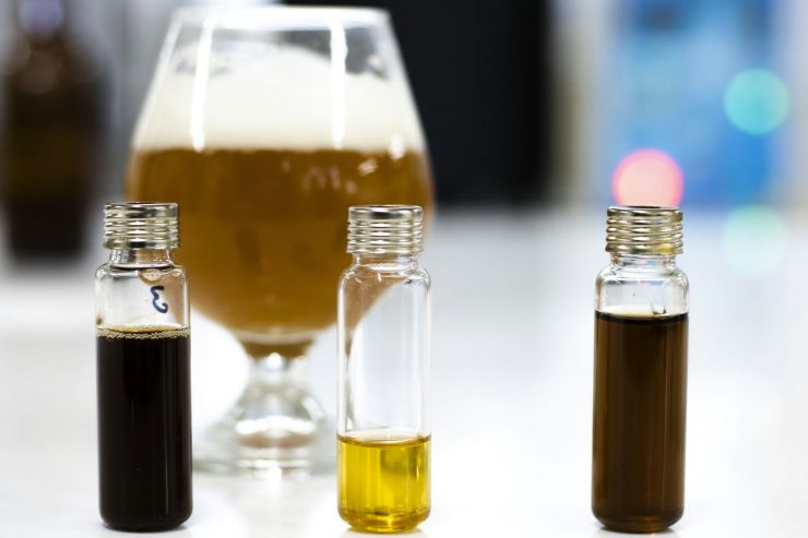 Учёные разработали быстрорастворимые «пивные капсулы»