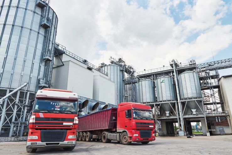 Беларусь запретила ввоз пива и ряда продуктов из недружественных стран