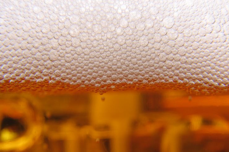 Пиво в Петербурге подешевело на 4,5%