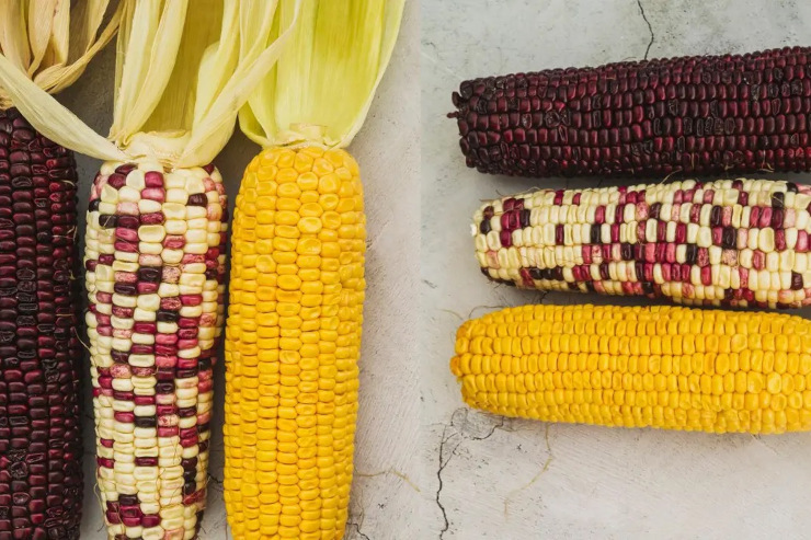 Чича. Традиции Южной Америки в новом прочтении