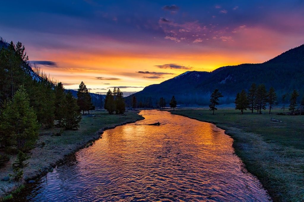 InBev вылила в реку несколько миллионов литров пива