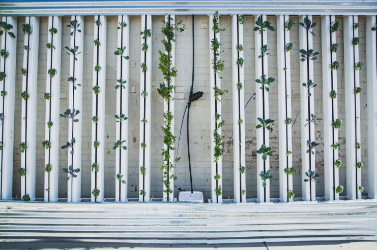 Британская ферма использовала избыточное тепло для мини-пивоварни