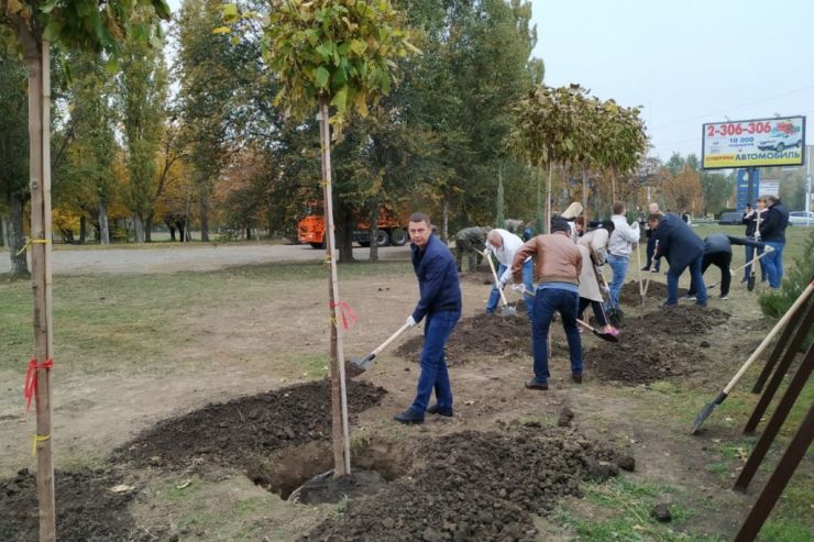 Ростовская «Балтика» приняла участие в высадке 14 000 растений