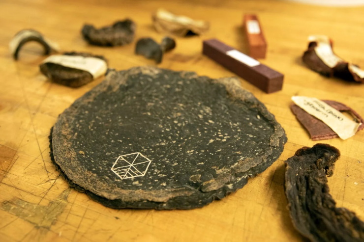 В США изготовили искусственную древесину из отходов производства комбучи