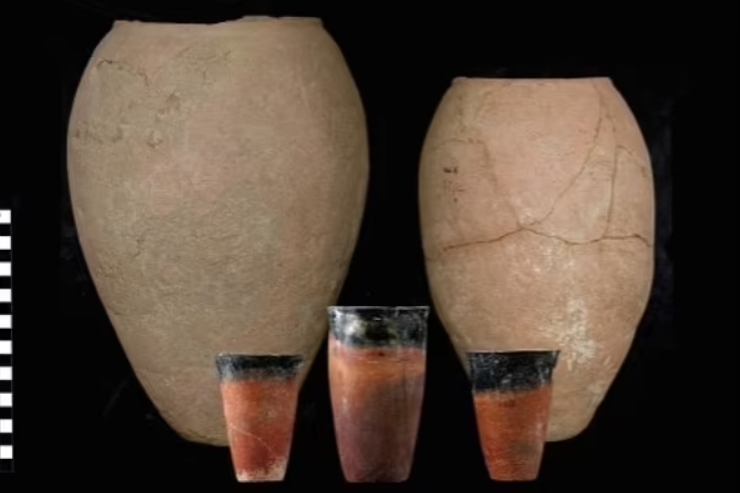 Учёные узнали, какое пиво пили в Египте 5 тысяч лет назад