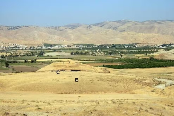 Учёные впервые доказали, что древние люди пили пиво не только во время ритуалов, но и просто так