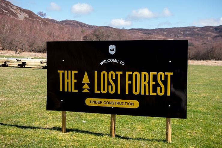 BrewDog признала гибель половины саженцев «Потерянного леса» в Шотландии