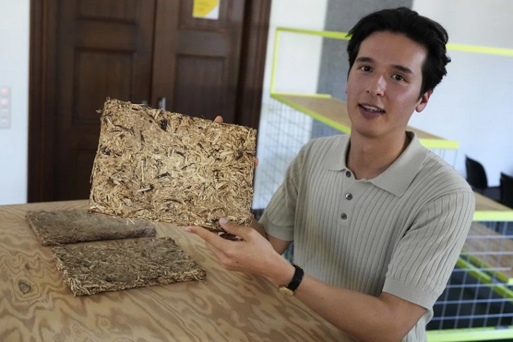 В Германии студенты запустили стартап по переработке лоз хмеля в строительные блоки и панели для звукоизоляции