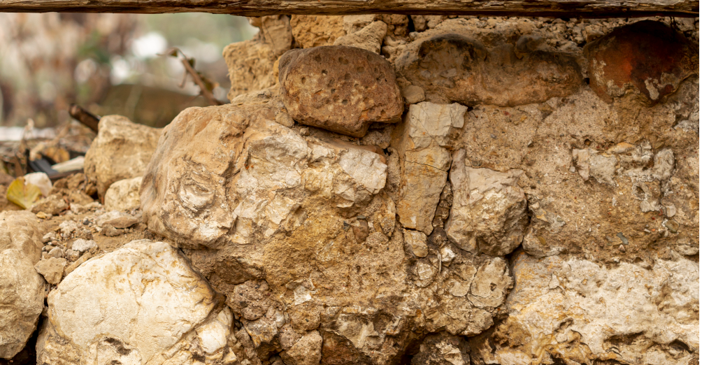 Суд обязал законсервировать завод «Новая Бавария» 