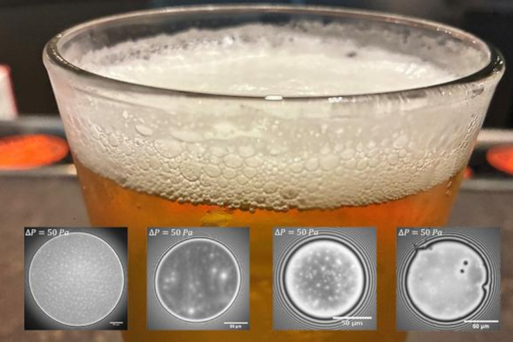 Учёные исследовали факторы стабильности пивной пены