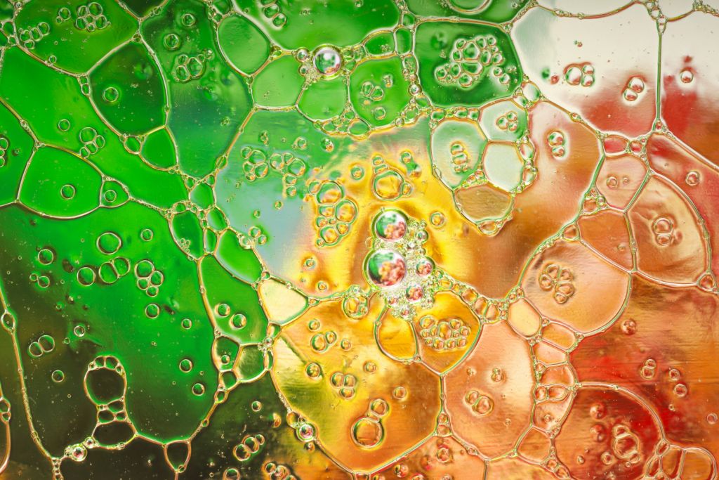 Новинки недели: взгляд через осень