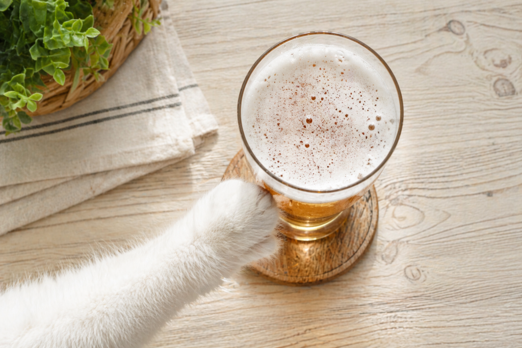 Новинки недели: ищем, где тепло