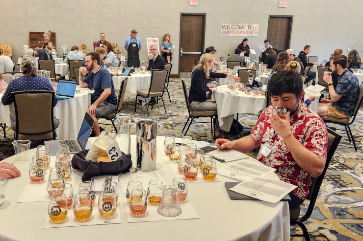 Rebel Apple названа лучшей сидродельней по версии конкурса GLINTCAP