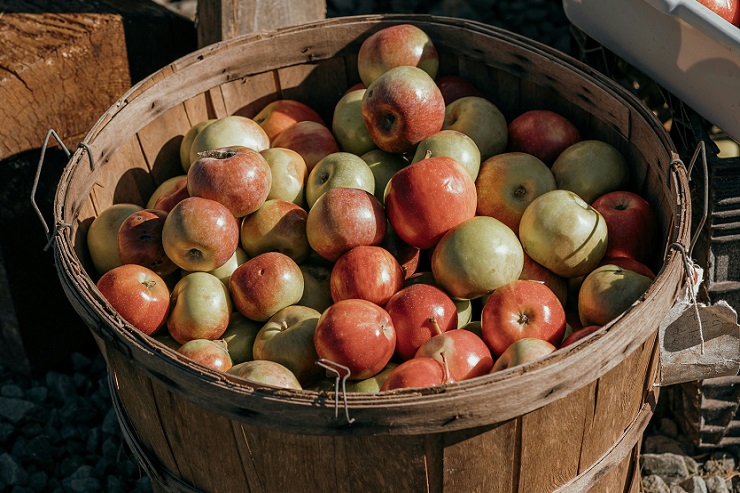 Алексей Небольсин: «Государство должно обратить внимание на огромный потенциал, которым мы обладаем»