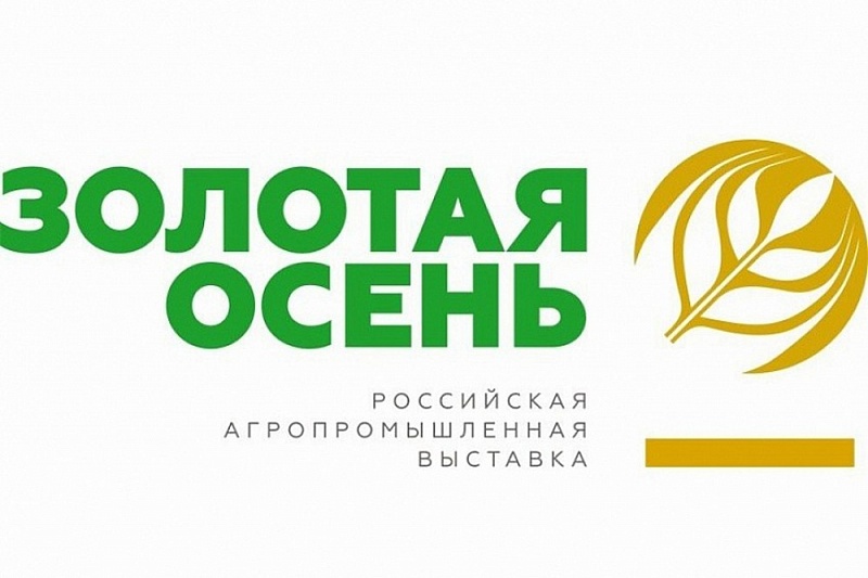 Москва Золотая Осень Фото 2022 Года Москва Золотая Осень Фото 2022 Года