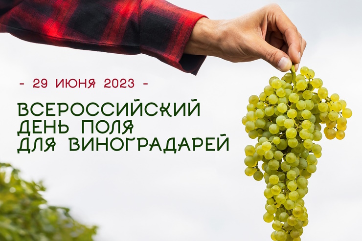 Всероссийский день поля для виноградарей (Краснодарский край)