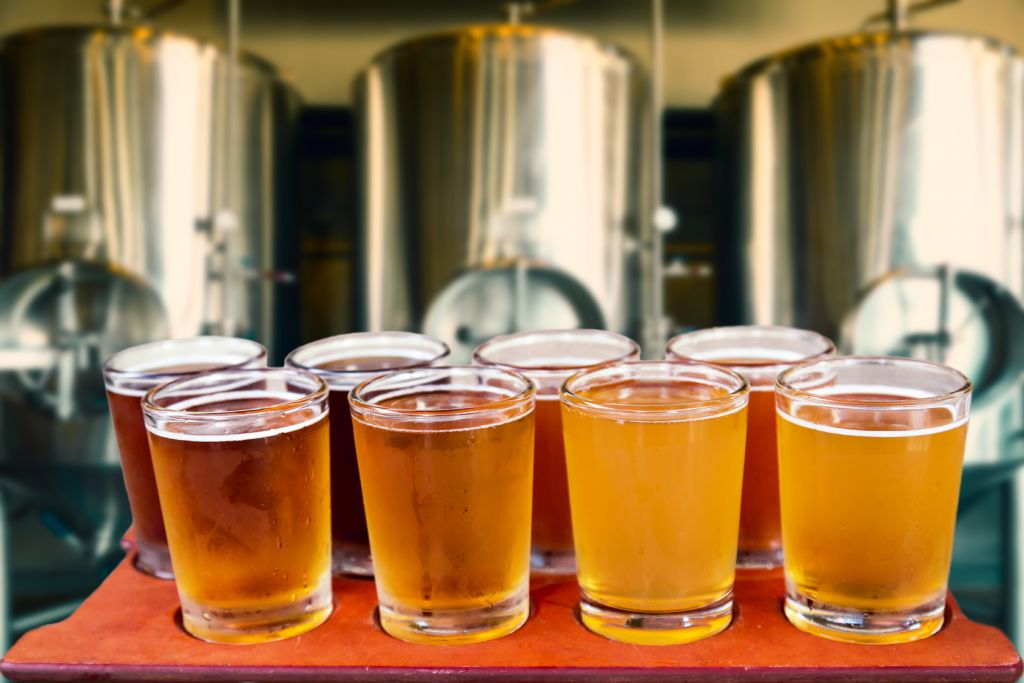 BrewMaster's Craft Beer Festival 2016