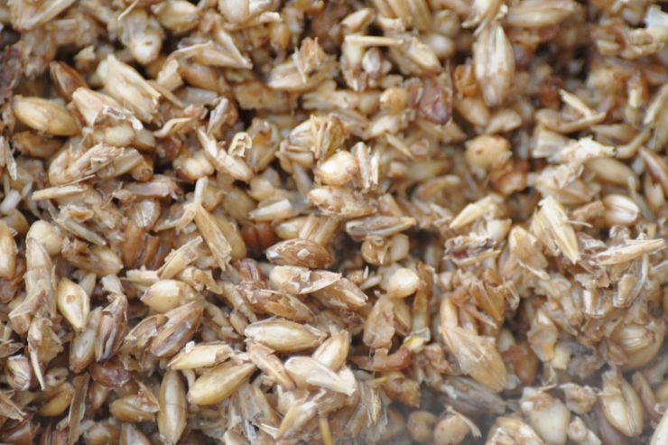 Крафтовая идея: батончики из пивной дробины