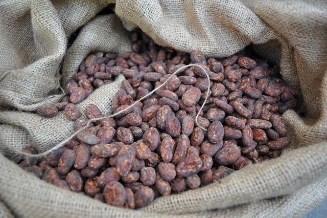 White Labs выпустила дрожжи, культивированные с редкого вида какао