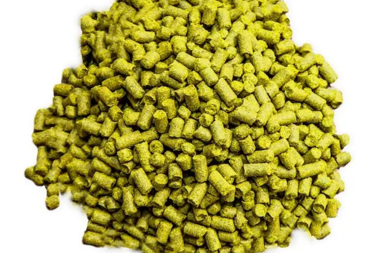 Пивовары делятся опытом повторного использования хмеля