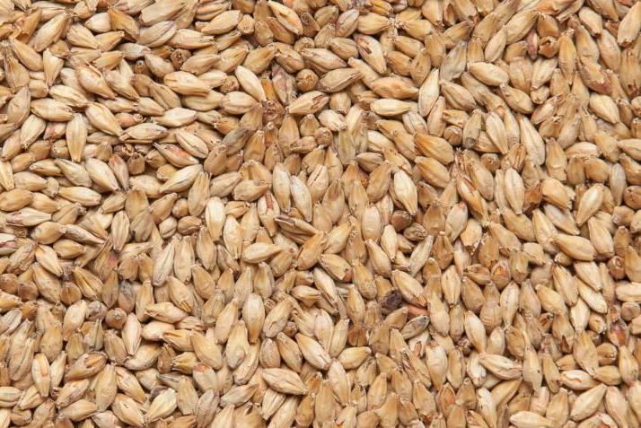 «Грейнрус» выпустил «Курский солод» в фасовке 5 кг