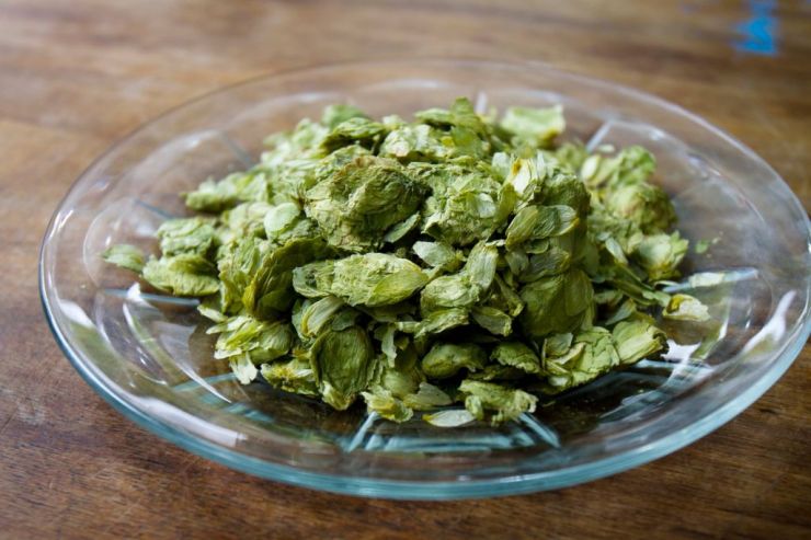 Как сочетать хмели между собой, чтобы они дополняли друг друга