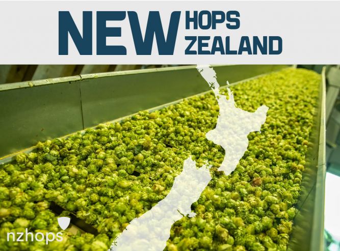 Waimea, Wai-iti, Moutere — эксклюзивные новинки новозеландских сортов хмеля уже доступны в Beer Resource