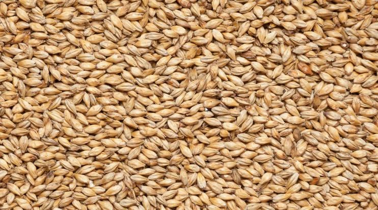 «Грейнрус» представляет три новинки солода