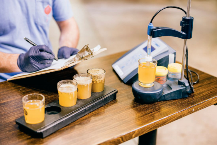 Как pH влияет на пиво на всех этапах