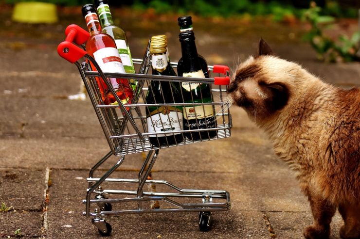 Минпромторг в доработанном законопроекте сократил расстояние между точками с алкоголем и школами до 10 метров