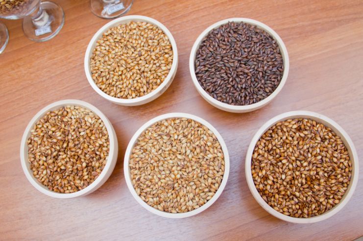 Чешским домашним пивоварам разрешат варить в 10 раз больше пива