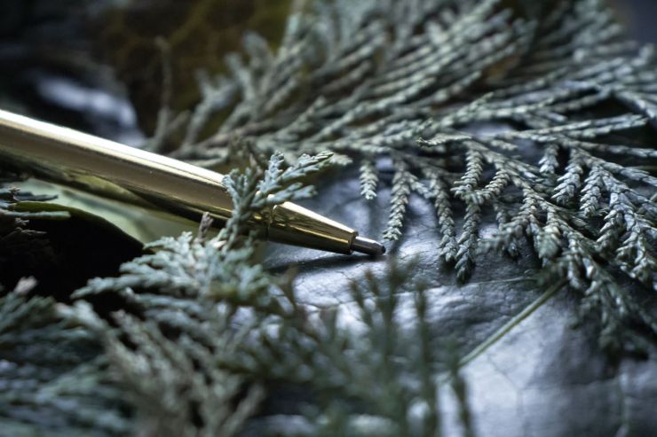 Году начало, зиме серёдка: каким был законодательный январь