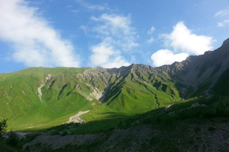 Госдума отклонила законопроект о лицензиях на продажу алкоголя на лесных турбазах