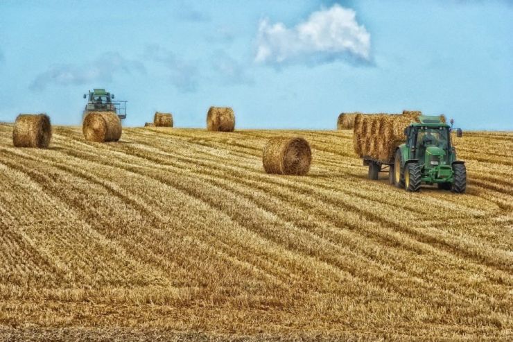 В России создают отдельный сегмент «зеленых» продуктов