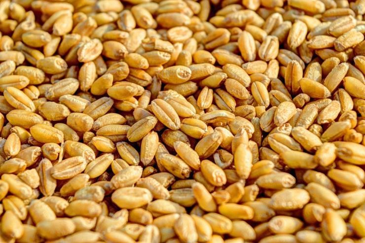 Подкомиссия по таможенно-тарифному регулированию поддержала повышение пошлин на зерновые