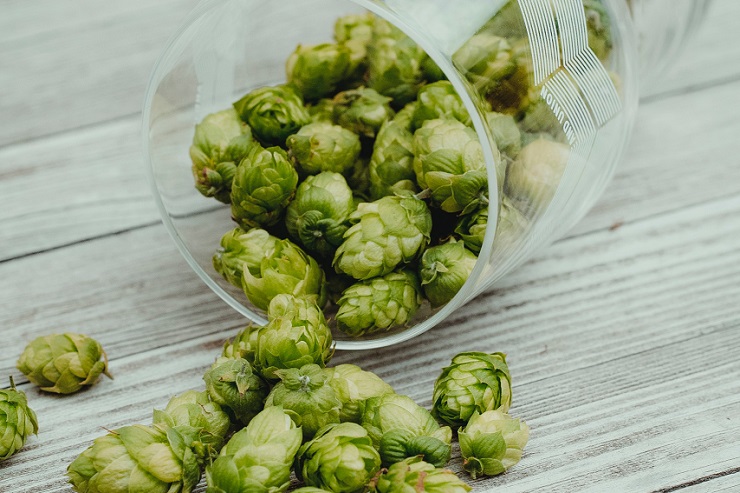 Чувашия поддержит предложенное «ОПОРОЙ» придание пиву статуса сельхозпродукции