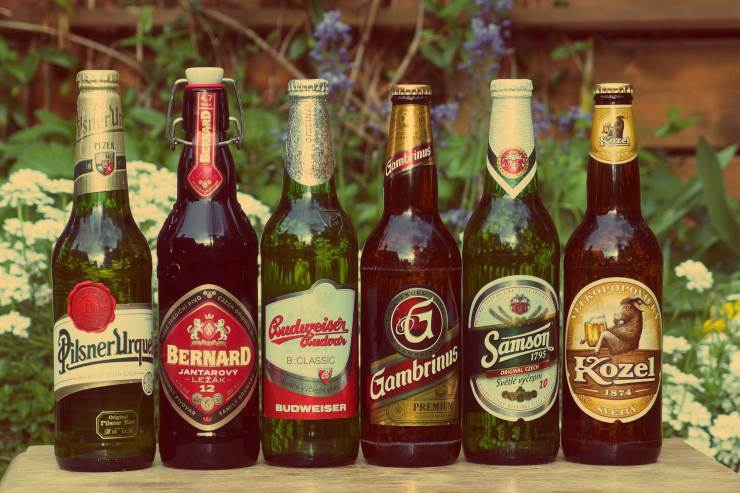 Россия может повысить пошлины на пиво и вино из Европы