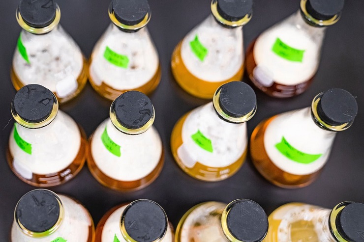 Роспотребнадзор хочет получить право регулировать производство пива и других напитков