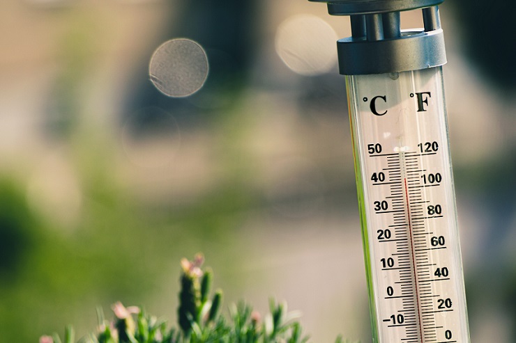 Голову напекло: депутат Госдумы призвал запретить продажу крепкого алкоголя в жару