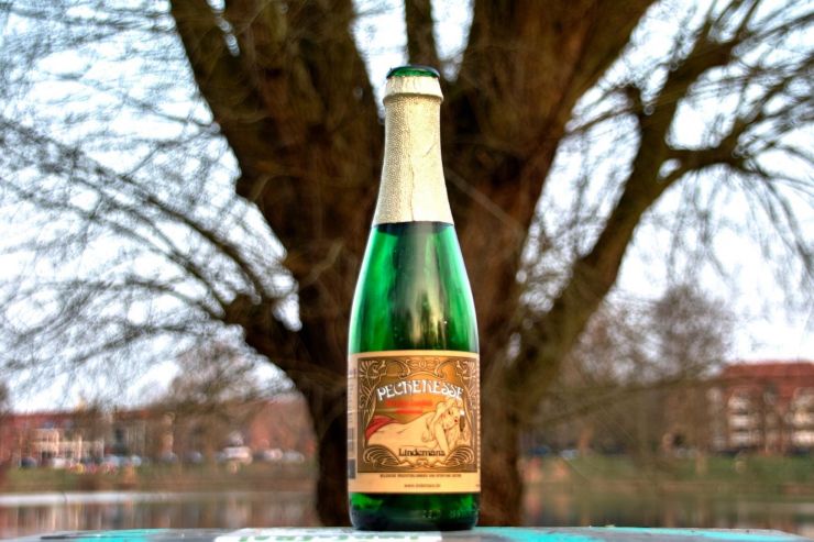 Таможня о пересчете пошлин поставщику Lindemans: «Сок в составе пива — это готовый продукт»